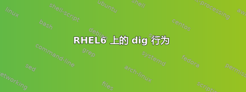 RHEL6 上的 dig 行为