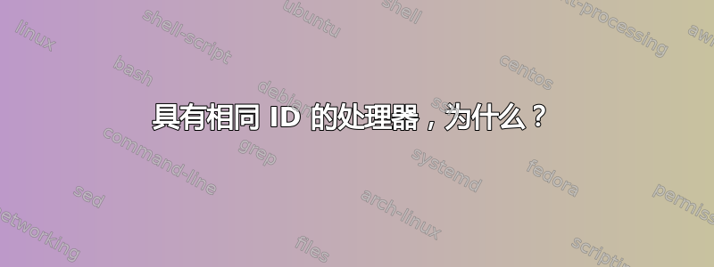 具有相同 ID 的处理器，为什么？