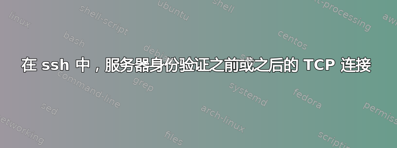 在 ssh 中，服务器身份验证之前或之后的 TCP 连接