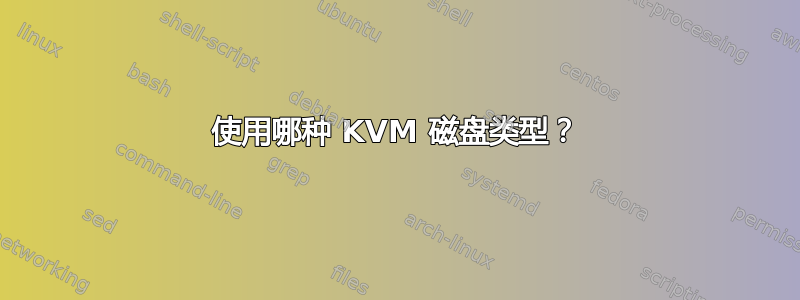 使用哪种 KVM 磁盘类型？