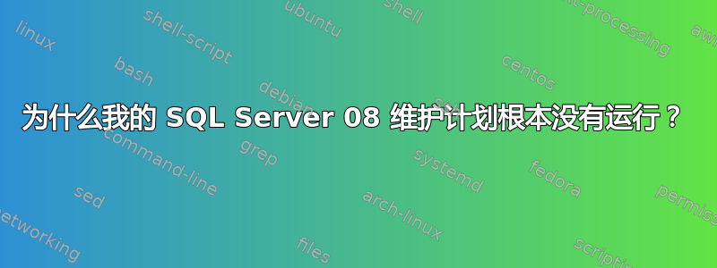 为什么我的 SQL Server 08 维护计划根本没有运行？