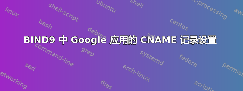 BIND9 中 Google 应用的 CNAME 记录设置