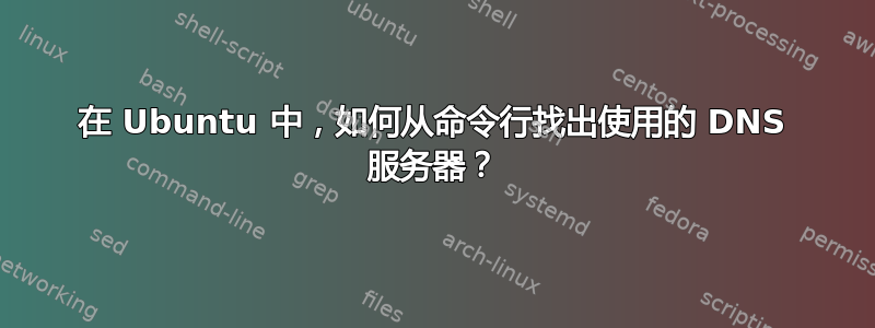 在 Ubuntu 中，如何从命令行找出使用的 DNS 服务器？