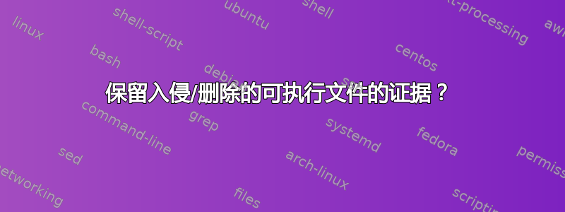 保留入侵/删除的可执行文件的证据？