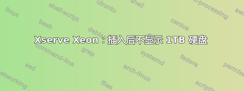 Xserve Xeon：插入后不显示 1TB 硬盘