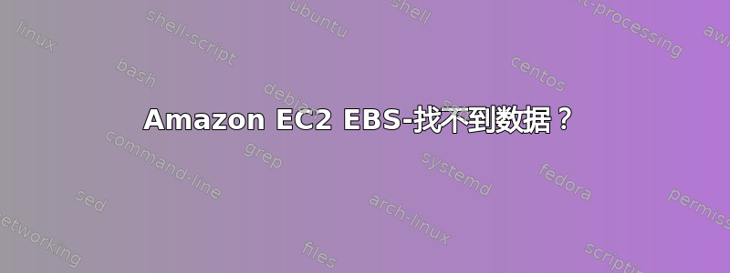 Amazon EC2 EBS-找不到数据？