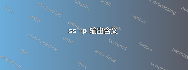 ss -p 输出含义