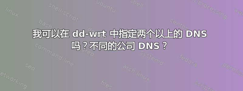 我可以在 dd-wrt ​​中指定两个以上的 DNS 吗？不同的公司 DNS？