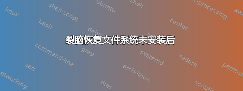 裂脑恢复文件系统未安装后