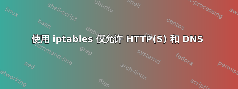 使用 iptables 仅允许 HTTP(S) 和 DNS