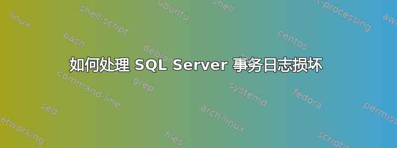 如何处理 SQL Server 事务日志损坏