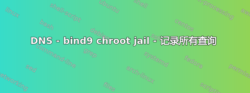 DNS - bind9 chroot jail - 记录所有查询