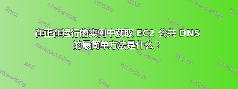 在正在运行的实例中获取 EC2 公共 DNS 的最简单方法是什么？