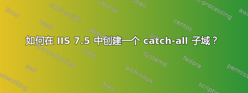 如何在 IIS 7.5 中创建一个 catch-all 子域？