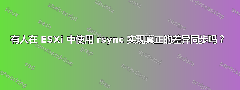 有人在 ESXi 中使用 rsync 实现真正的差异同步吗？