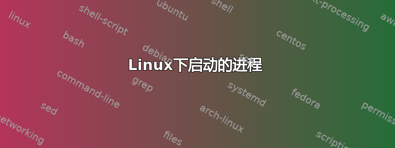 Linux下启动的进程