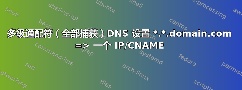 多级通配符（全部捕获）DNS 设置 *.*.domain.com => 一个 IP/CNAME