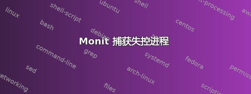 Monit 捕获失控进程