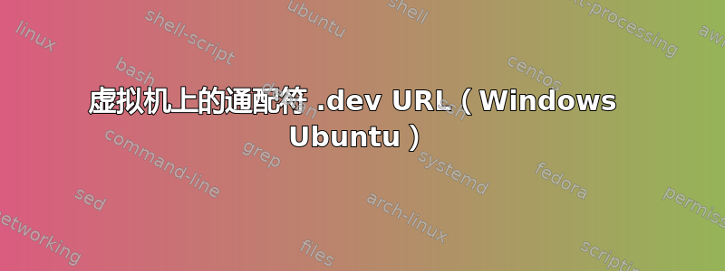 虚拟机上的通配符 .dev URL（Windows  Ubuntu）