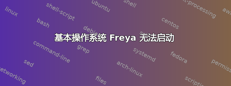 基本操作系统 Freya 无法启动