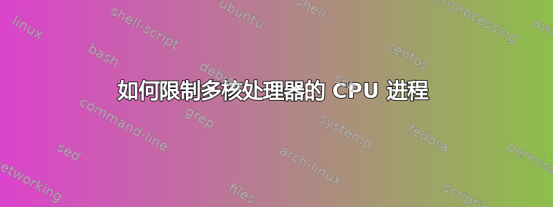 如何限制多核处理器的 CPU 进程