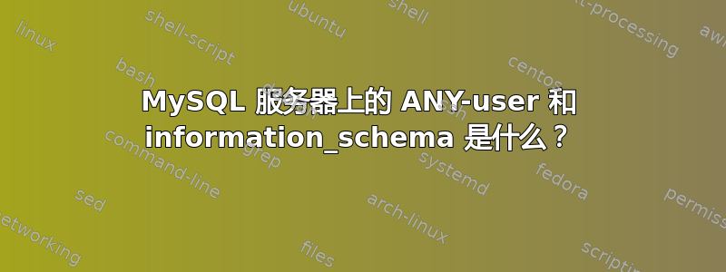 MySQL 服务器上的 ANY-user 和 information_schema 是什么？