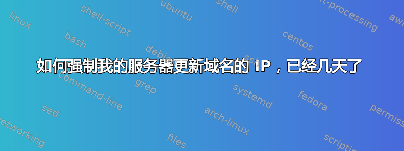 如何强制我的服务器更新域名的 IP，已经几天了