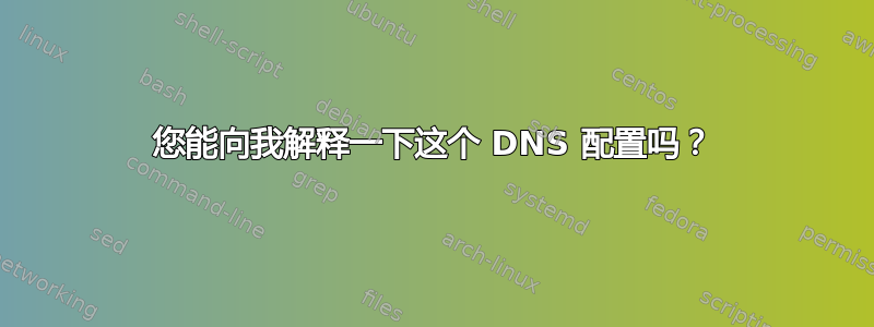 您能向我解释一下这个 DNS 配置吗？