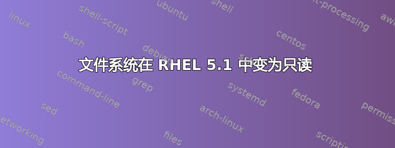 文件系统在 RHEL 5.1 中变为只读