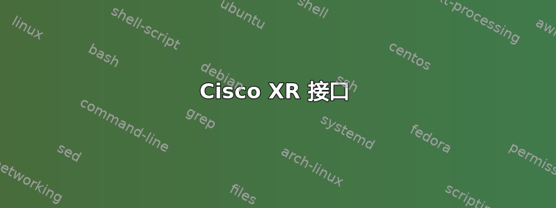 Cisco XR 接口