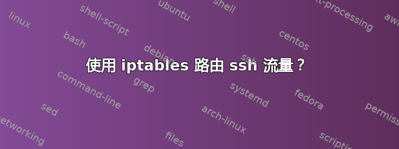 使用 iptables 路由 ssh 流量？