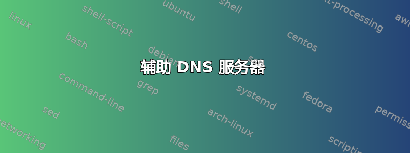 辅助 DNS 服务器