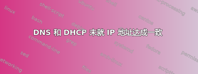 DNS 和 DHCP 未就 IP 地址达成一致