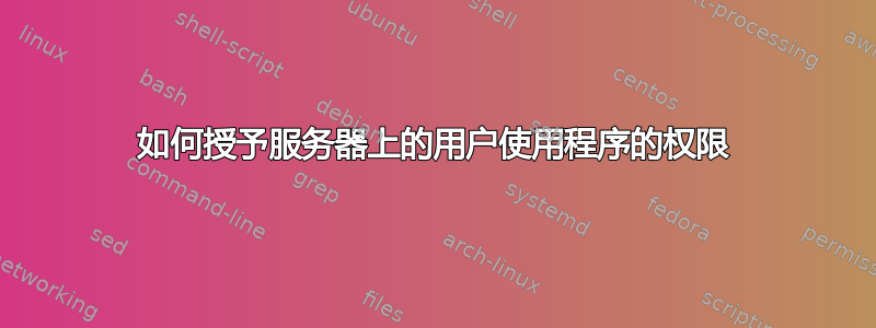 如何授予服务器上的用户使用程序的权限