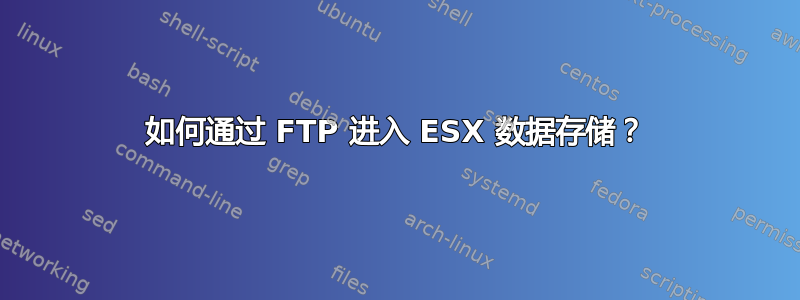 如何通过 FTP 进入 ESX 数据存储？