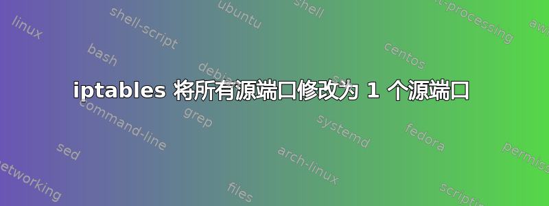 iptables 将所有源端口修改为 1 个源端口