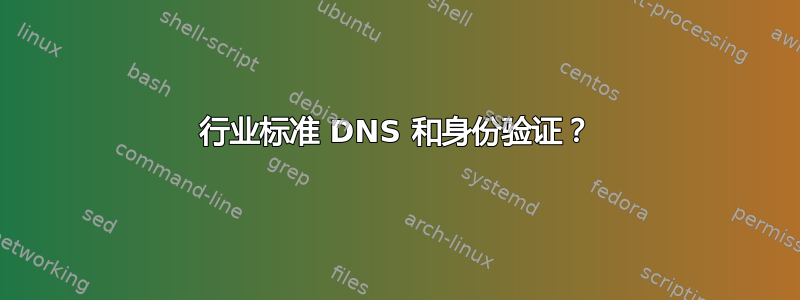 行业标准 DNS 和身份验证？