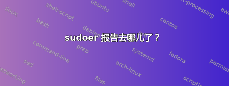 sudoer 报告去哪儿了？