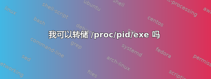 我可以转储 /proc/pid/exe 吗