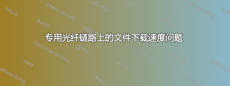 专用光纤链路上的文件下载速度问题