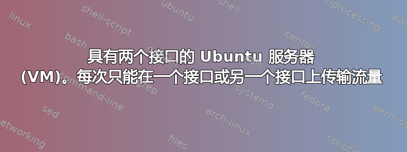 具有两个接口的 Ubuntu 服务器 (VM)。每次只能在一个接口或另一个接口上传输流量