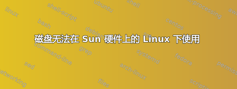 磁盘无法在 Sun 硬件上的 Linux 下使用