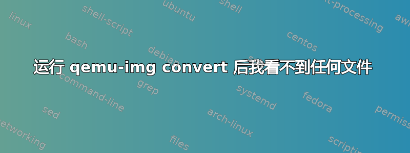 运行 qemu-img convert 后我看不到任何文件