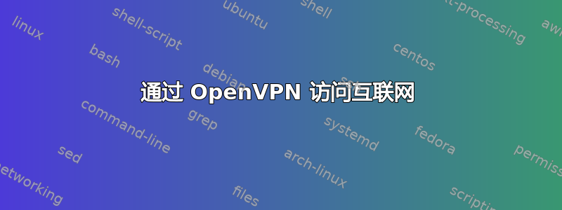 通过 OpenVPN 访问互联网