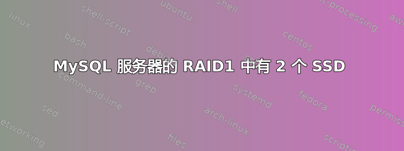 MySQL 服务器的 RAID1 中有 2 个 SSD