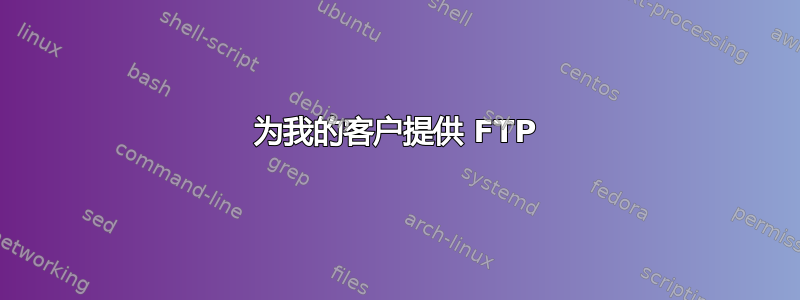 为我的客户提供 FTP