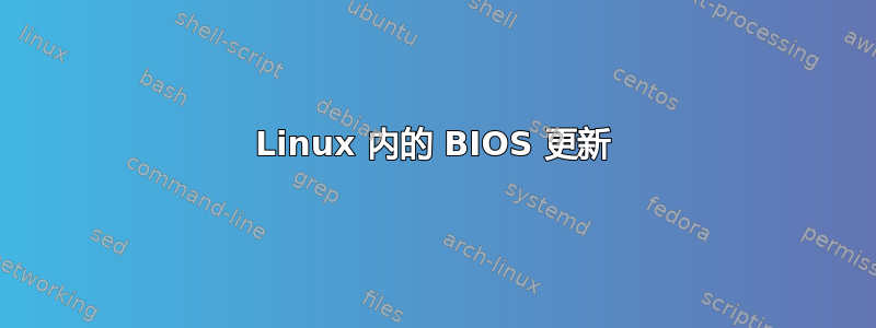 Linux 内的 BIOS 更新