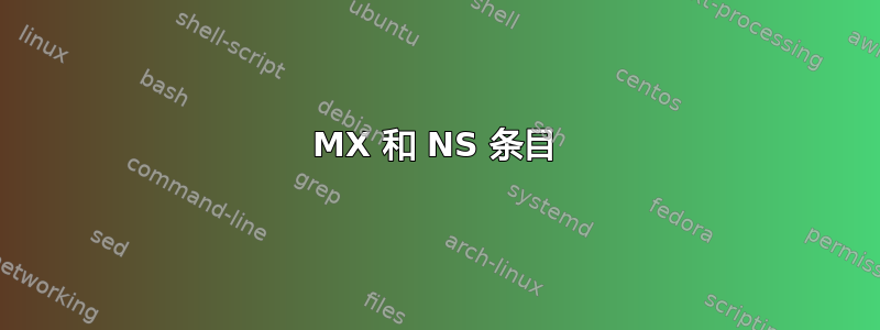 MX 和 NS 条目