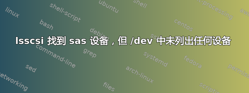 lsscsi 找到 sas 设备，但 /dev 中未列出任何设备