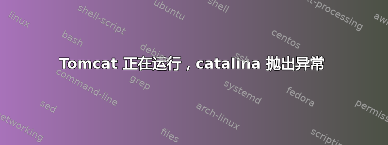 Tomcat 正在运行，catalina 抛出异常